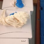 WhatsApp Image 2026-03-19 at 06.46.42 (2)
